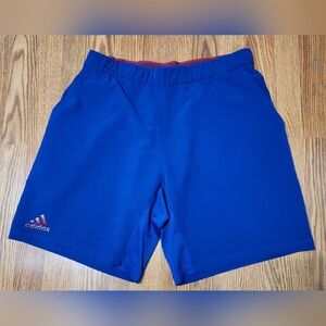 adidas Blue Athletic Shorts